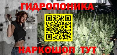 винт Канаш