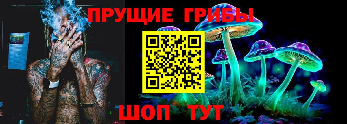 Псилоцибиновые грибы Psilocybine cubensis Краснознаменск