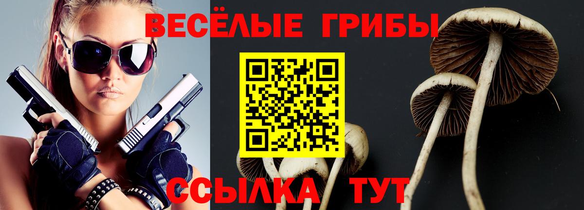 Галлюциногенные грибы мицелий  Галлюциногенные грибы Psilocybe  Вход с VPN  Краснознаменск 